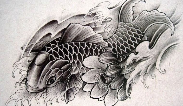 Ý nghĩa hình xăm cá chép trong nghệ thuật Nhật cổ