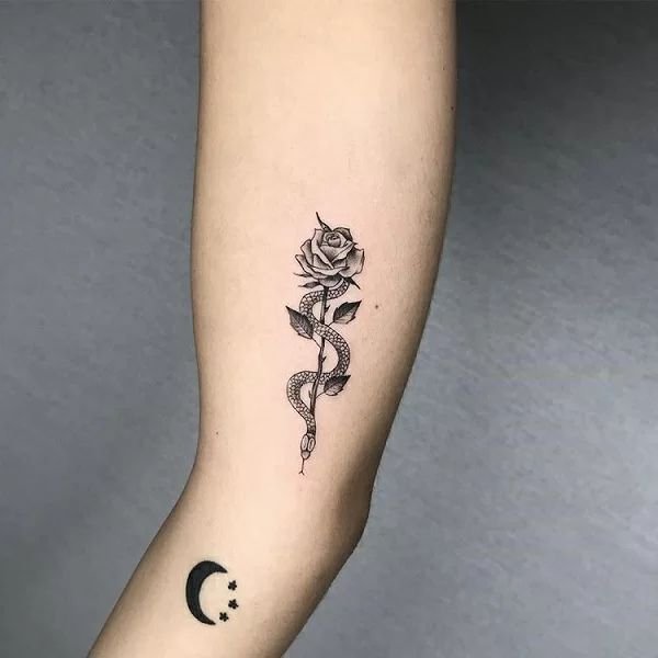 Tatoo rắn quấn hoa hồng mini