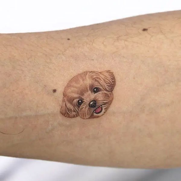 Tattoo con chó poodle đẹp