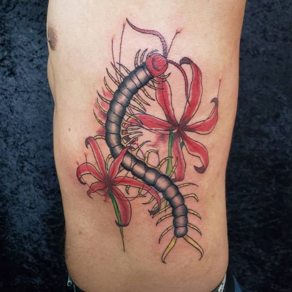 Tattoo con rết và hoa bỉ ngạn đẹp