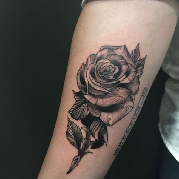 Tattoo hoa hồng ở tay ngầu