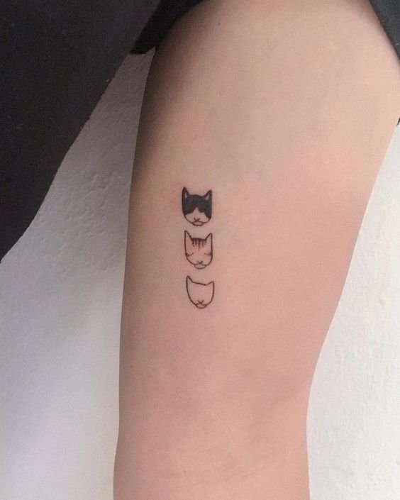 tattoo đầu mèo cute ở bắp tay dành cho nữ