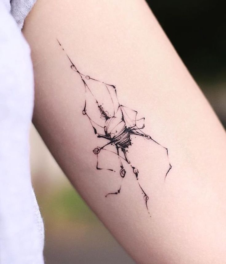 mẫu tattoo nhện mini ở bắp tay