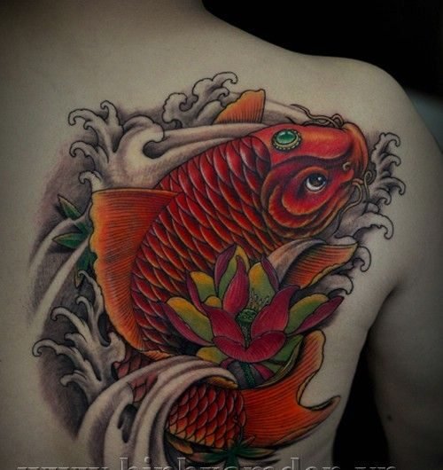 tattoo cá chép đỏ kết hợp với hoa sen