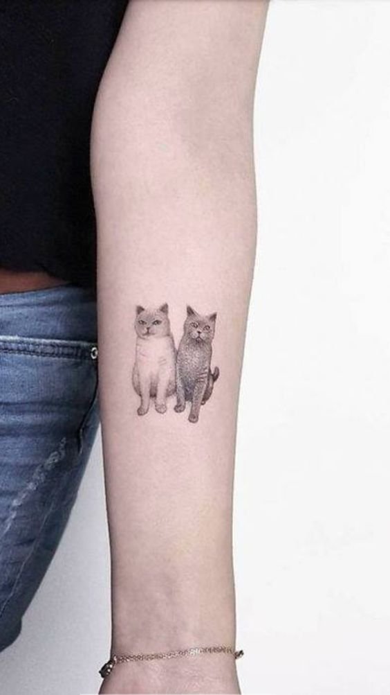 tattoo cặp mèo cực đẹp trên tay cho nữ