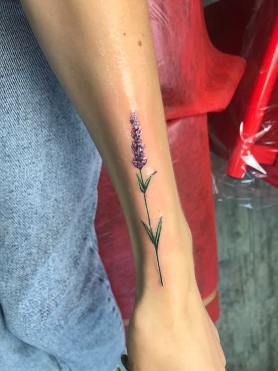 mẫu tattoo hoa oải hương cho nữ ở cổ chân