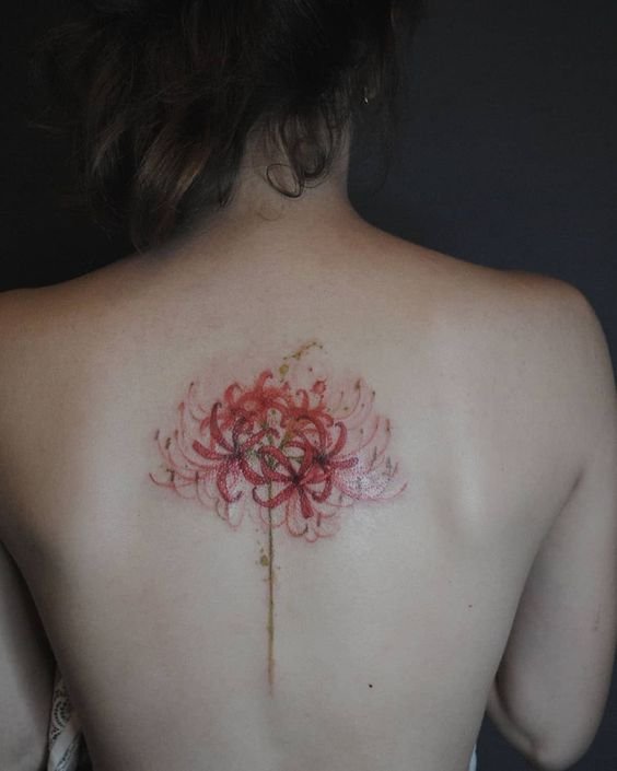 H&igrave;nh xăm hoa đỏ tr&ecirc;n lưng một người, với nền tối tạo độ tương phản nổi bật.