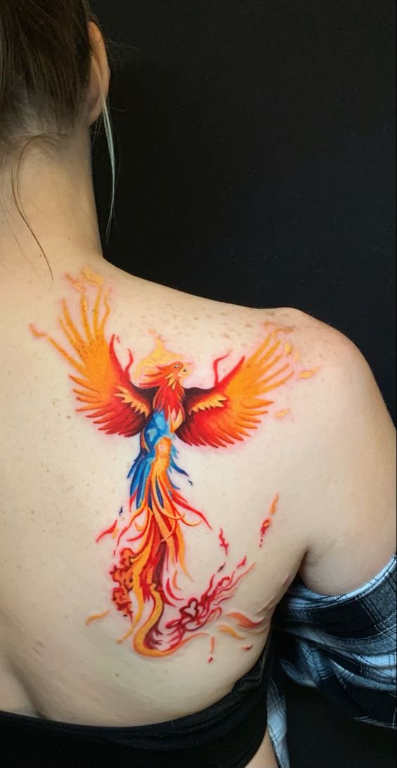 tattoo mẫu chim phượng hoàng trên bả vai