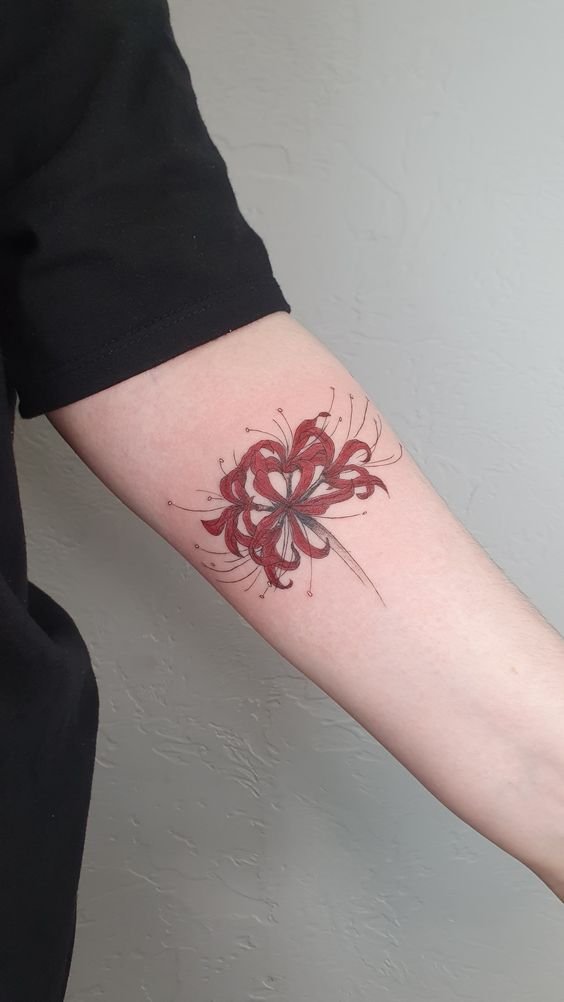 tattoo hoa bỉ ngạn đỏ ở bắp tay ý nghĩa tattoo hoa bỉ ngạn đỏ ở bắp tay ý nghĩa