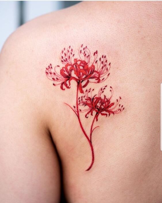 tattoo mini hoa bỉ ngạn đỏ đáng yêu tattoo mini hoa bỉ ngạn đỏ đáng yêu